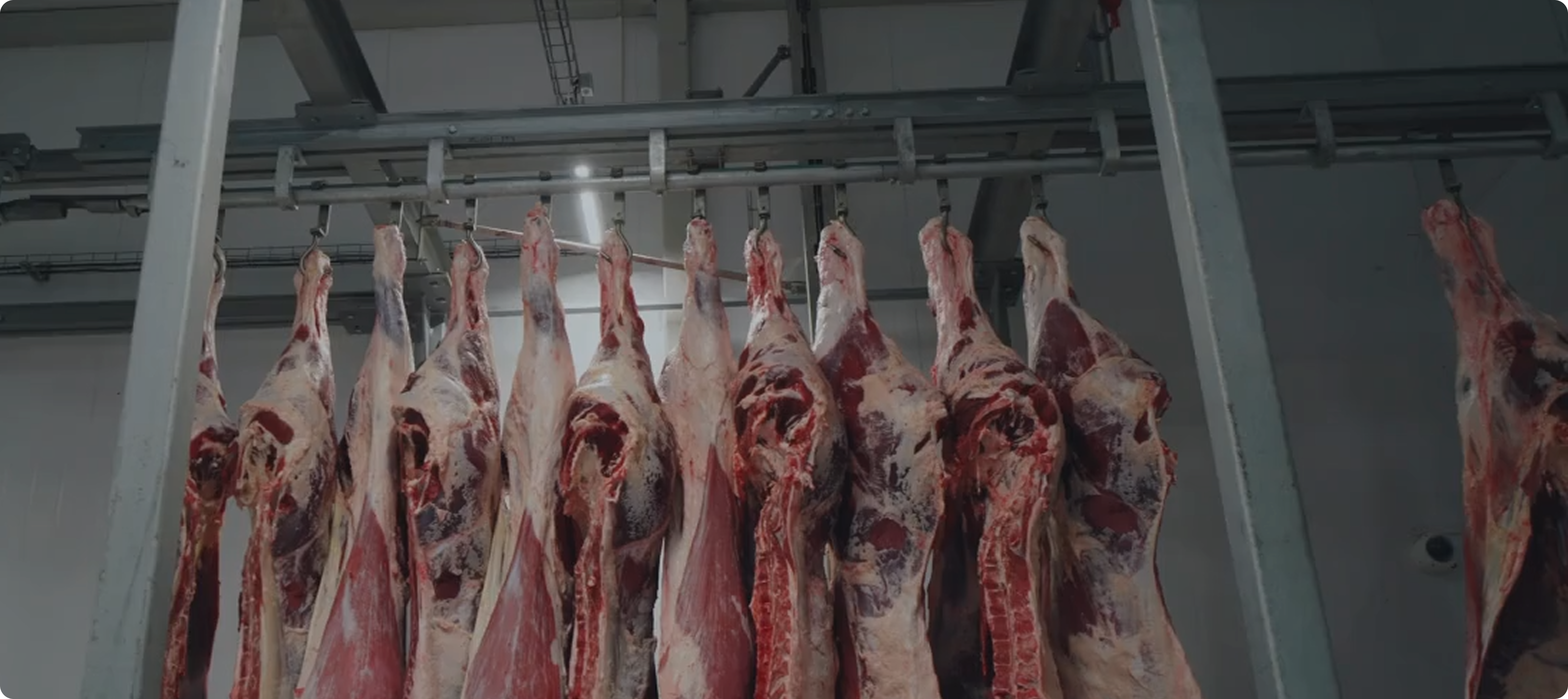 Farmers using Rumer platform